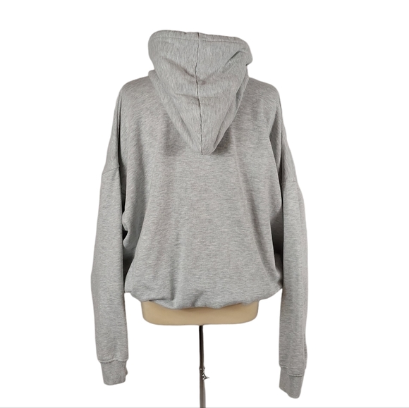 Disney Aladdin Grey Abu as Elephant Pullover Adult Hoodie from Oh My Disney - Picture 2 of 15